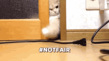 Funny Cat GIF - Funny Cat Japanese GIFs