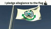 a flag with the words i pledge allegiance to the flag on the bottom