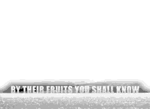 by their fruits you shall know ocean you shall know graphic design illustration
