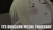 Dungeon Meshi Delicious In Dungeon GIF - Dungeon Meshi Delicious In Dungeon Falin GIFs