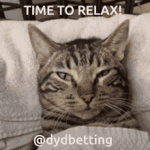 Relaxing Chill GIF - Relaxing Chill Dyd GIFs
