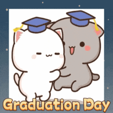 Graduation Graduation Day GIF