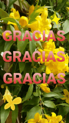 Gracias Flores GIF - Gracias Flores Amarillas GIFs