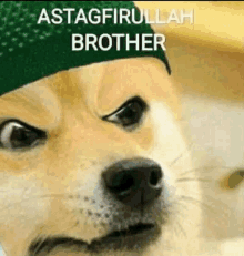 Astagfirullah Doggo GIF - Astagfirullah Doggo Muslim GIFs