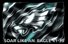 eagles nfl football american football national football league