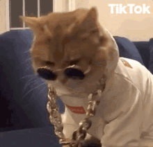 Cool Cat Chilling GIF - Cool Cat Chilling Sunglasses GIFs