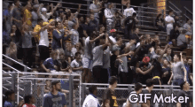 Fans Cheering GIF