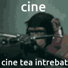 Cine Cine Tea Intrebat GIF
