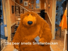 Bear Smells GIF - Bear Smells Smellenbecken GIFs