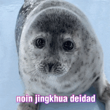 a seal with the words " noin jingkhua deidad " above it