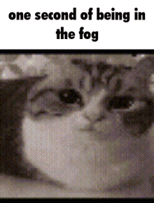 The Fog The Fog Discord Server GIF - The Fog The Fog Discord Server Sil GIFs
