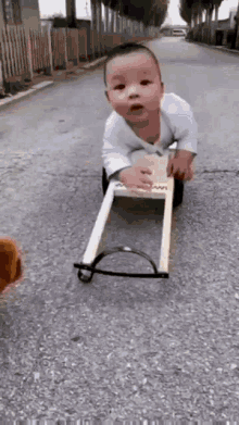Funny Dog And Baby GIF - Funny Dog And Baby GIFs