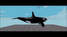 Orca GIF - Orca GIFs
