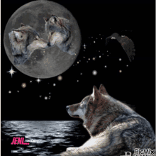 wolfs and moon wolf good night