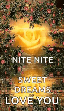 Nite Sweet Dreams GIF - Nite Sweet Dreams Sparkles GIFs