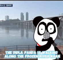 Dilda Panda Funny GIF - Dilda Panda Funny Tiktok GIFs