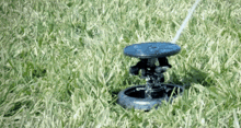 sprinkler lawn oscillating watering rotating