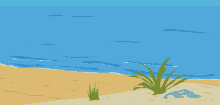 Beach2 GIF
