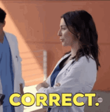 Amelia Shepherd Correct GIF - Amelia Shepherd Correct Greys Anatomy GIFs