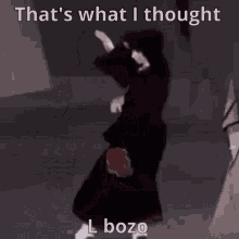 Loss Bozo GIF - Loss Bozo Dance GIFs