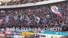 Fcsb Steauabucuresti GIF