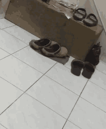 Shoes Recorded GIF