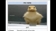 a picture of a duck with the name gort on it