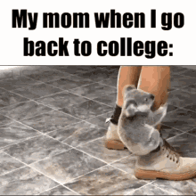 Mom Mother GIF - Mom Mother College GIFs