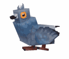 pigeon hytale