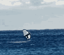 Wing Surf GIF - Wing Surf Wingsurf GIFs