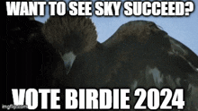 Vote4birdie Birdie2024 GIF - Vote4birdie Birdie2024 GIFs