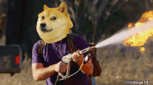 Dogecoin To GIF - Dogecoin To The GIFs