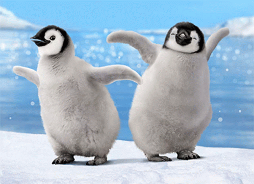 dancing penguin gif