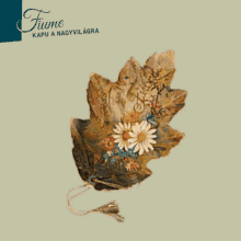 a poster for fiume kapu a nagyvilagra shows a butterfly and flowers