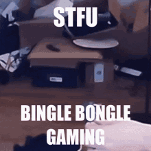 Bingle Bongle GIF - Bingle Bongle Bingle Bongle GIFs