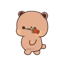 a teddy bear with a rose in its mouth