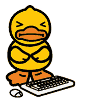 rubber duck keyboard