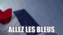 Allez Les Bleus GIF - France Euro2016 Flag GIFs