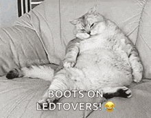 a fat cat is laying on a couch with the caption boots on ledtovers