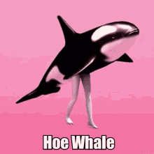 Hoe Whale GIF - Hoe Whale Sexy GIFs