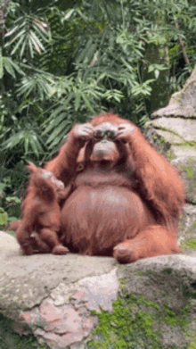 Stinkpookie Orangutang GIF - Stinkpookie Orangutang Monke GIFs