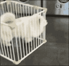 Funny Crate GIF