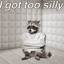 a raccoon in a straight jacket is sitting on a bed with the words i got too silly above it