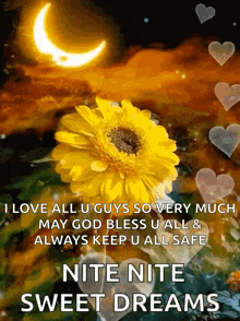i love all u guys so very much may god bless u all and always keep u all safe