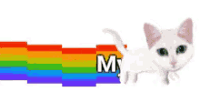 Rainbow Pride GIF - Rainbow Pride Gay GIFs