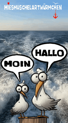 a cartoon of two seagulls with speech bubbles that say hallo and moin