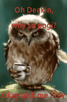 Oh Deakin Why So Pogi Coffee Owl GIF - Oh Deakin Why So Pogi Coffee Owl Nocturnal Coffee GIFs