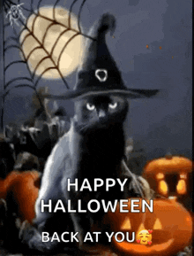 Halloween Blackcats GIF - Halloween Blackcats Pumpkin GIFs