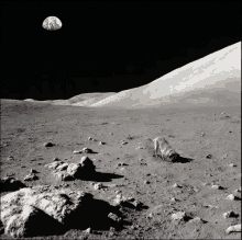 Perro En La Luna GIF - Dog Digging Moon GIFs