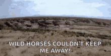 Horses Running GIF - Horses Running Galloping GIFs